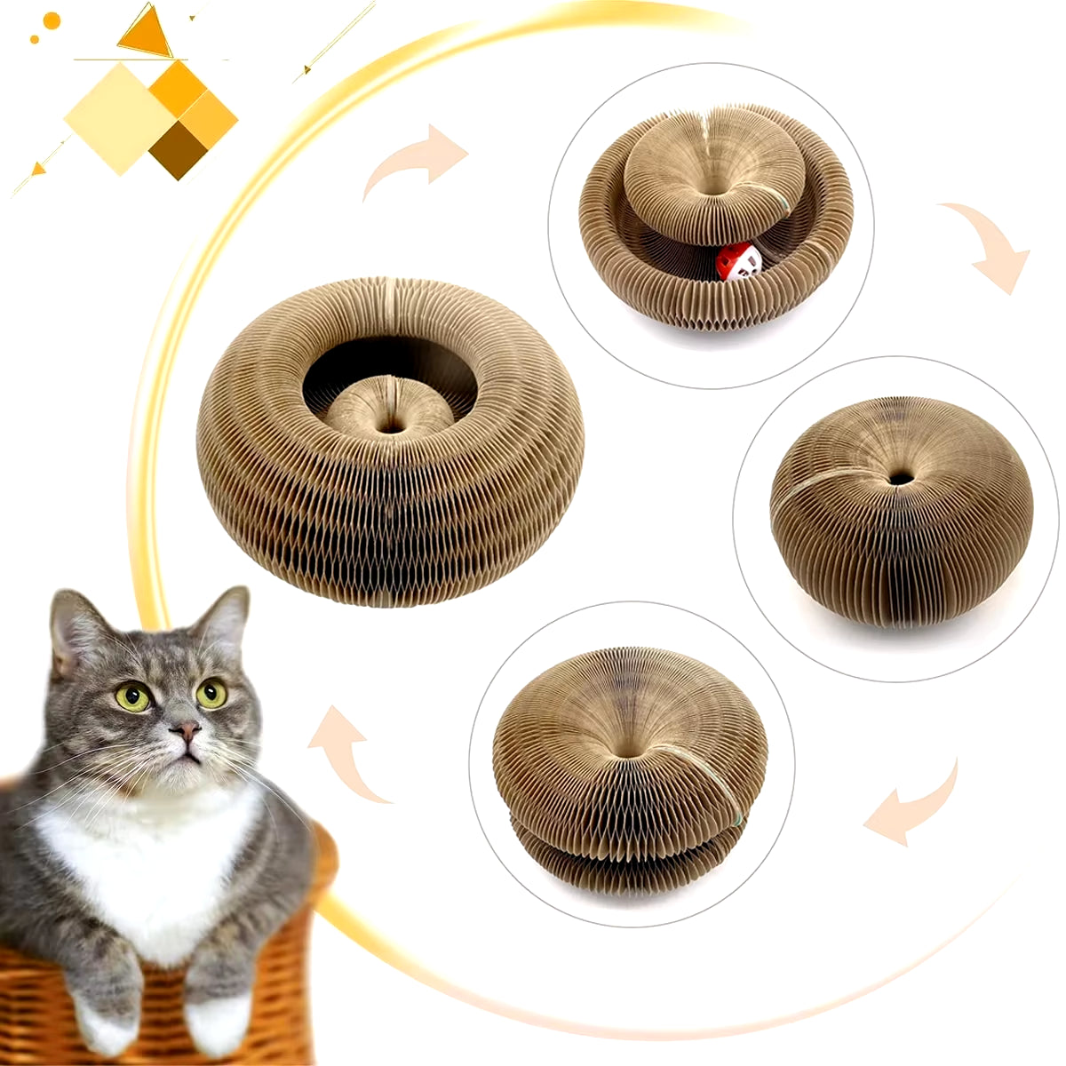 Magic Organ Cat Toy
